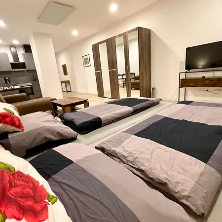 Neu Grosse Einzimmerwohnung Im Zentrum Goldstadt Schloessle