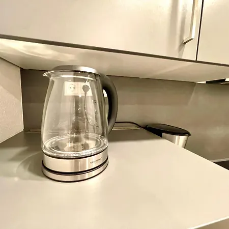 公寓 Goldstadt Suite- Schloessle Zentrum *